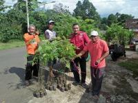 2IMG-20210211-WA0028.jpg